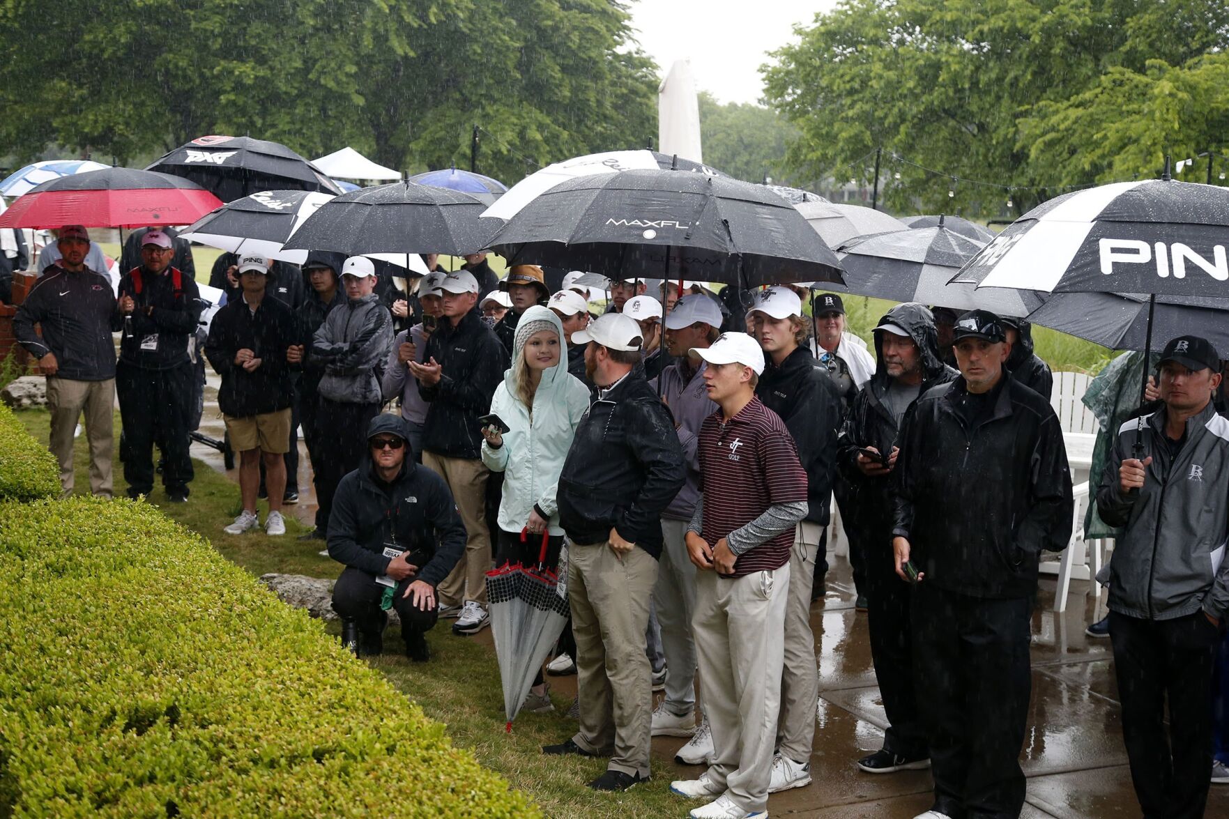 6A Golf